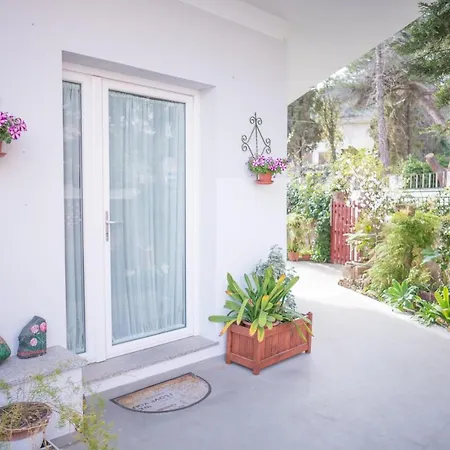 Nell'isola カルロフォルテ